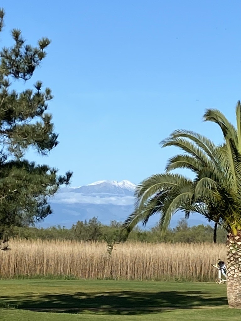 Le Canigou