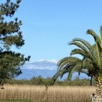 Le Canigou