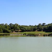 Golf de LA DOMANGERE